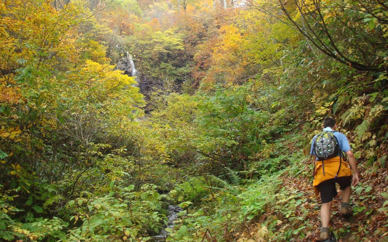 Villa Kalik House Nozawaonsen Esterno foto